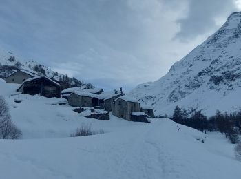 Trail Snowshoes Bessans - Vincendiere - Photo