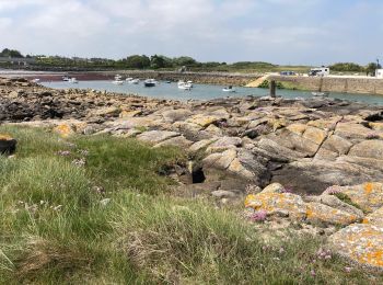 Randonnée Marche Barfleur - Pointe de Barfleur - Photo