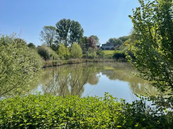 Tour Wandern Chaumont-Gistoux - SityTrail - #181130 - Autour de Vieusart, version courte - Photo