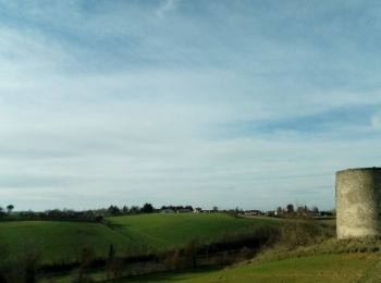 Tour Wandern Auriac-sur-Vendinelle - 16 février 2021 - Photo