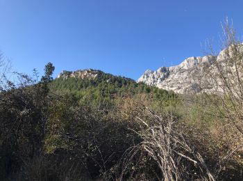 Tocht Stappen Saint-Antonin-sur-Bayon - Garagai Ste victoire  - Photo