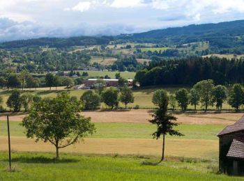 Tocht Stappen Saint-Gervais-sous-Meymont - St_Gervais_Maison_Parc - Photo