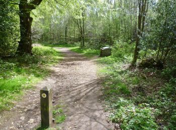 Tour Zu Fuß Sevenoaks - Octavia Hill Centenary walk west - Photo