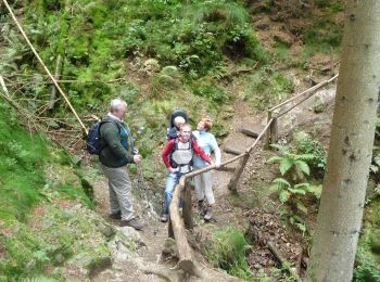 Trail On foot Malmedy - WandHogVen 20: Bevercé: canyon van de Trôs Marets - Photo