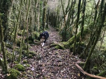 Trail Walking Lentillac-du-Causse - Lantillac du causse - Photo