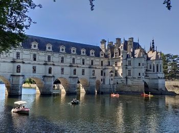 Tocht Wegfiets Amboise - Activity - Photo