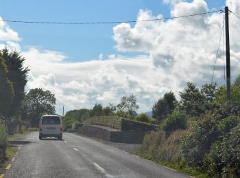 Tocht Te voet Kenmare Municipal District - Keel Uphill Downhill Loop - Photo