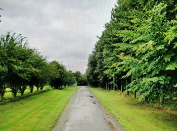 Randonnée Marche Perwez - Balade à la campagne et à la lisière du bois - Photo