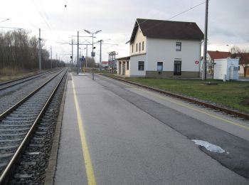 Tocht Te voet Gemeinde Schützen am Gebirge - Rundweg Schützen/Geb. Nord - Photo