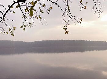 Randonnée A pied Feldberger Seenlandschaft - Krüseliner Rundweg - Photo