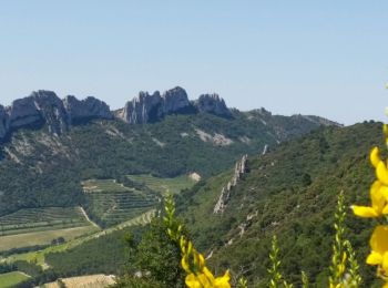 Tour Mountainbike Malaucène - bedoin j2 - Photo