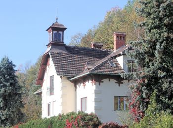 Tocht Te voet Gemeinde Pitten - Sparkassenrunde (Pitten) - Photo