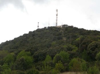 Randonnée Marche Faugères - pic du tantajo - Photo