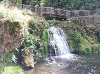 Randonnée Marche Xertigny - Circuit le Gué du saut N°2 - Photo