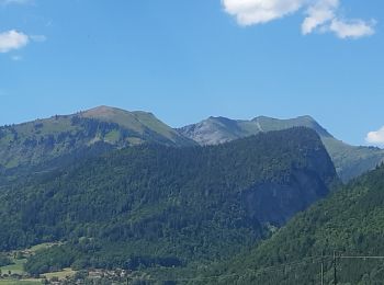 Percorso Marcia Samoëns - Samoens . gorges des tines - retour  - Photo