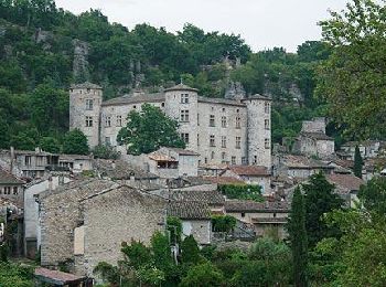 Percorso Marcia Vogüé - Vogüé Gare Lanas 15km - Photo