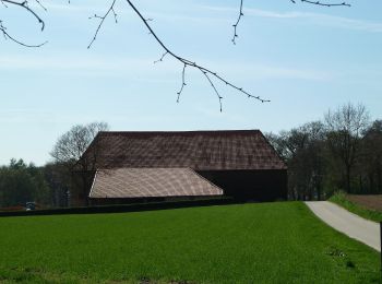 Tocht Te voet Beekdaelen - Panoramaroute - Photo