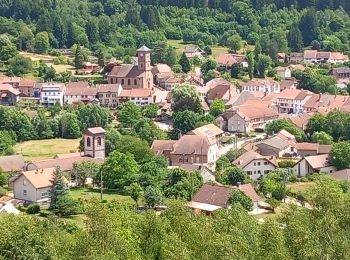 Tocht Stappen Bionville - sentier des roches Bionville - Photo