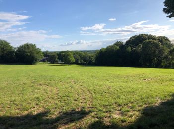 Trail Walking Baignes - « Les évêques » depuis baignes jusqu à mont le bernois  - Photo