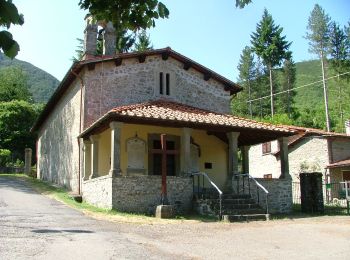 Excursión A pie San Godenzo - Sorgenti di Firenze Trekking – Anello Principale: Tappa 3 - Photo