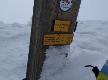 Trail Snowshoes Chambon-sur-Lac - col trois morand - Photo