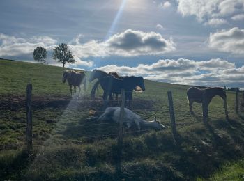 Trail Walking Arnay-le-Duc - Arnay-le-Duc - Photo