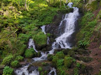 Trail Walking Le Hohwald - serva - Photo