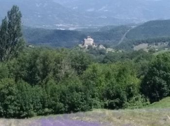 Tocht Stappen Piégros-la-Clastre - cht de Piegros, chap de Médard - Photo