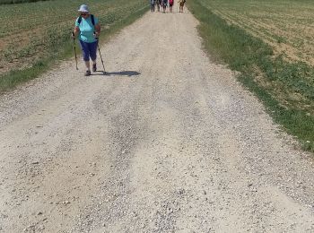 Randonnée Marche Aix-Villemaur-Pâlis - Aix GRBA  - Photo