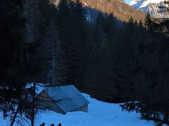 Randonnée Raquettes à neige Saint-Martin-Vésubie - Lac Negre raquettes  - Photo