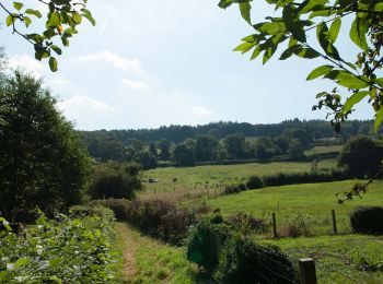 Tour Wandern Limburg - GG-Lg-11_Dolhain - Pepinster - Photo