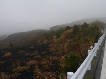 Trail On foot  - テキサスコース - Photo