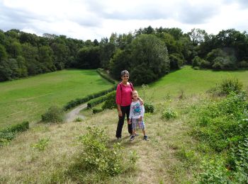 Tour Wandern Marchin - Chasse au trésor 