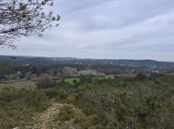 Randonnée Marche Villetelle - villetelle-butte - Photo