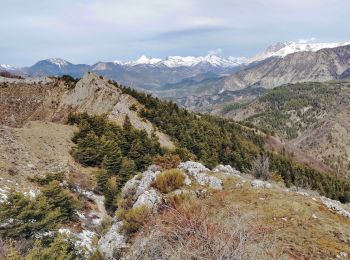 Tocht Stappen Esparron - Rocher de Saint-Pierre - Photo