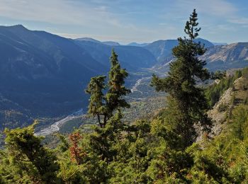 Tocht Stappen Colmars - Colmars autapie 19.5k ms 1200m - Photo