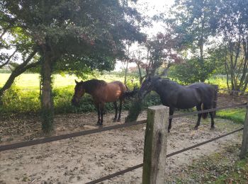 Tour Wandern Tardinghen - les 2 caps - Photo