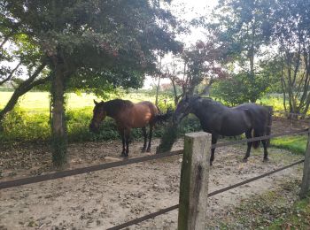 Tocht Stappen Tardinghen - les 2 caps - Photo