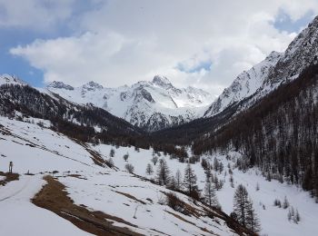 Percorso Racchette da neve Ceillac - les balcons du cristillan - Photo