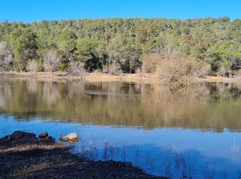 Tocht Stappen La Crau - la navarre 3 - Photo