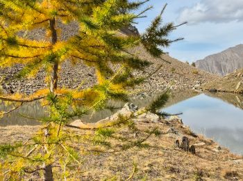 Randonnée Marche Crévoux - 2024-10-14 Lac du Crachet - Photo