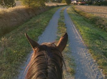 Tour Reiten Fronton - Trec 2 à valider - Photo