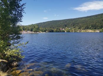 Trail Walking Gérardmer - GERARDMER ... le Saut de la Bourrique.  - Photo