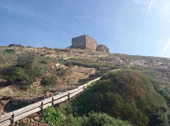 Tour Wandern Rio - Ile d'Elbe- Cima del Monte et Volterraio 20-10-22 - Photo