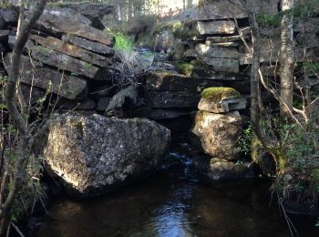 Tocht Te voet  - Öjesjön - Östra Sottjärnet - Photo