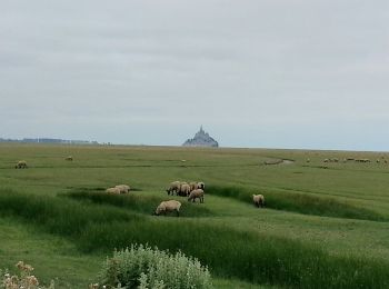 Randonnée Marche Huisnes-sur-Mer - Huisnes-sur-Mer - vue Mont-St-Michel - Pointe de Roche Torin - 14km 75m 4h30 (45mn) - 2017 06 26 - Photo