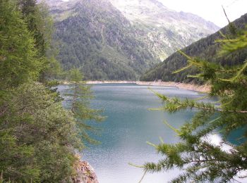 Tour Zu Fuß Vermiglio - IT-O144 - Photo