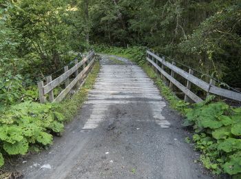 Tocht Te voet Mels - Walabütz Untersäss-Vorsiez - Photo