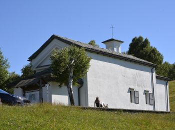 Percorso A piedi Maccagno con Pino e Veddasca - 121B Graglio_Forcora - Photo