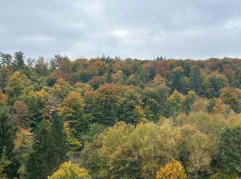 Tocht Stappen Léglise - Les Forges de Mellier - Photo